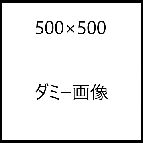 500×500ダミー